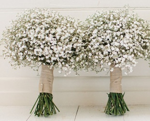 Gypsophila Wedding Flowers