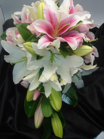 Lily Wedding White Pink