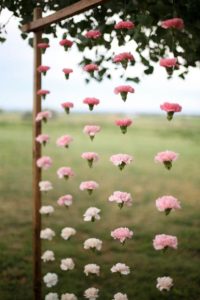 hanging backdrop