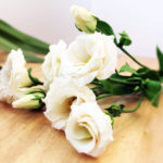 Lisianthus