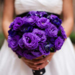 Purple Lisianthus